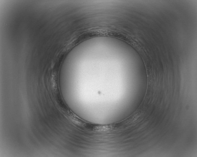 X0000056010131200508190904