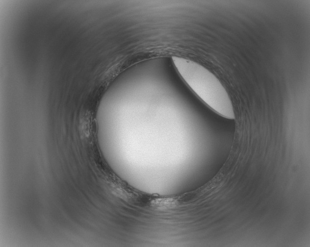 X0000056010133200508190904