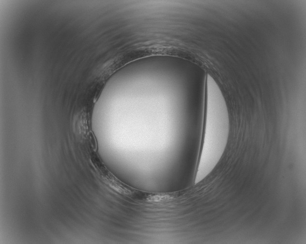 X0000056010137200508190904