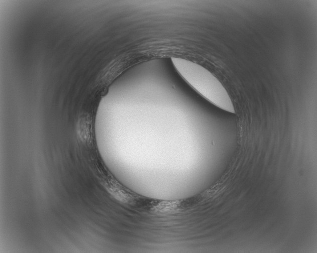 X0000056010138200508190904