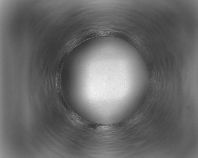 X0000056010139200508190904