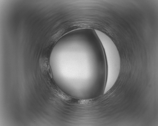X0000056010141200508190904