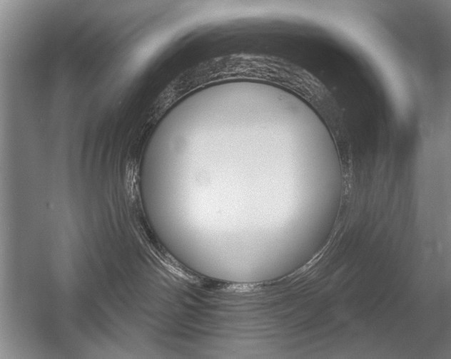 X0000056010142200508190904