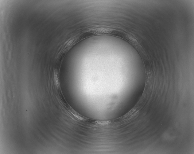 X0000056010143200508190904