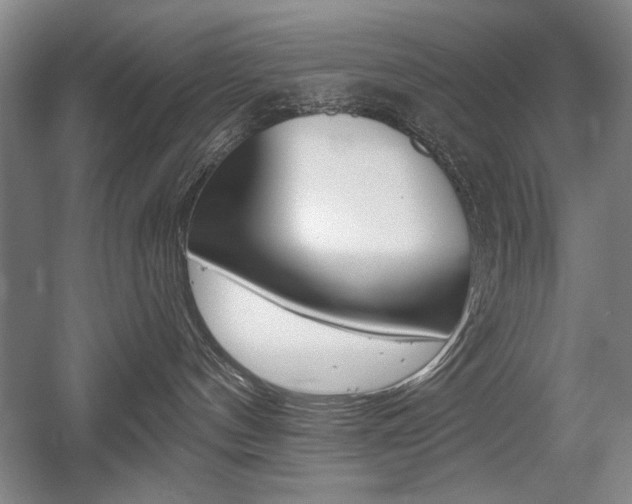 X0000056010144200508190904