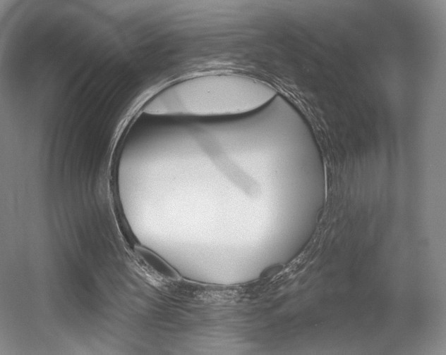 X0000056010147200508190903