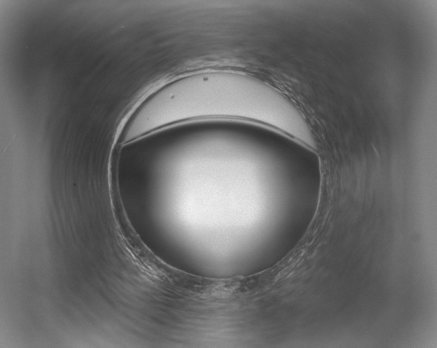 X0000056010148200508190903