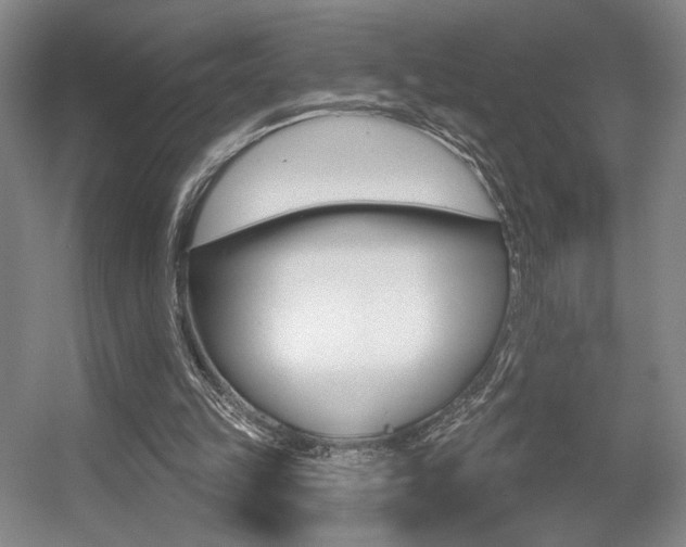 X0000056010149200508190903