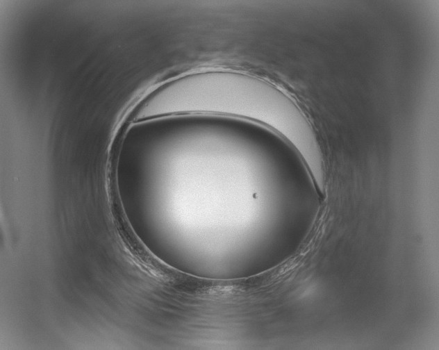 X0000056010152200508190903