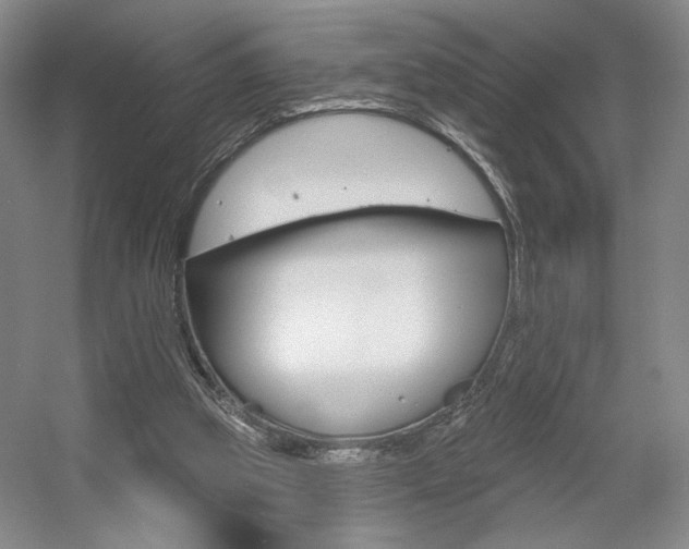X0000056010153200508190903