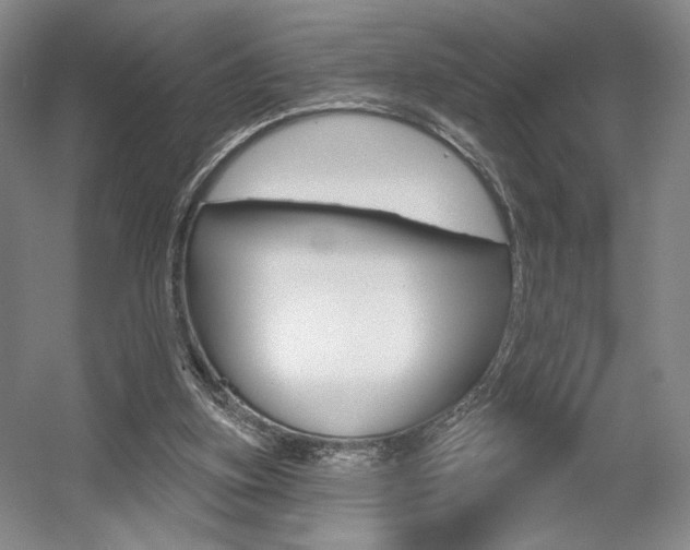 X0000056010155200508190903