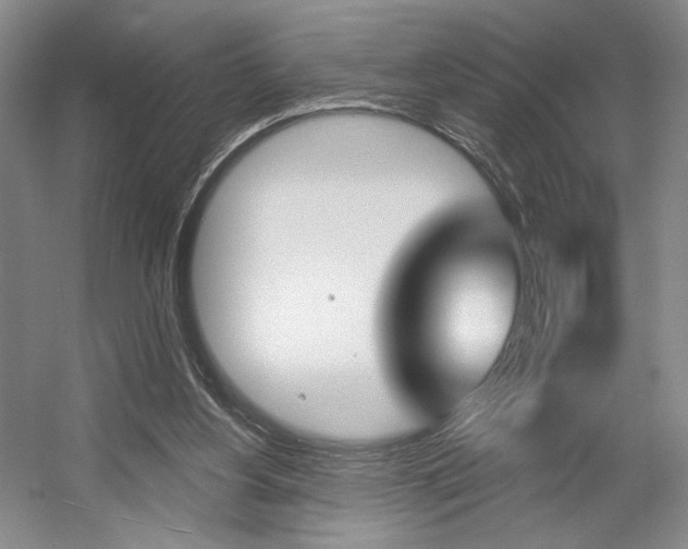 X0000056010156200508190903
