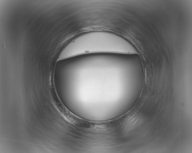 X0000056010157200508190903