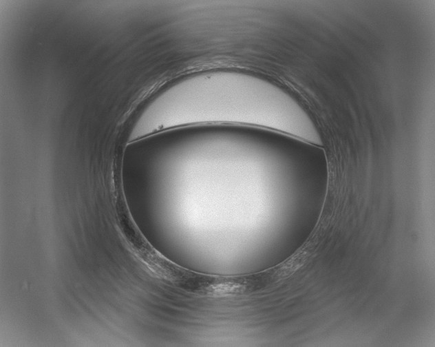 X0000056010158200508190903