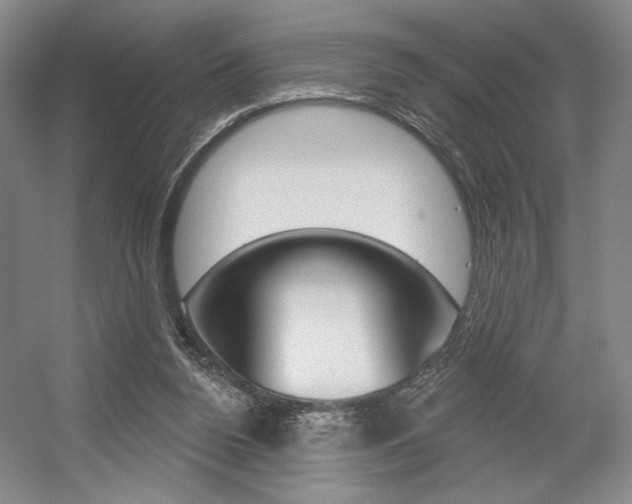 X0000056010160200508190903