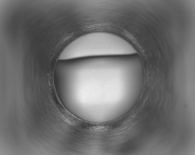 X0000056010161200508190903