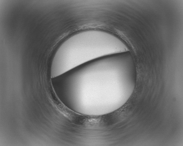 X0000056010163200508190903