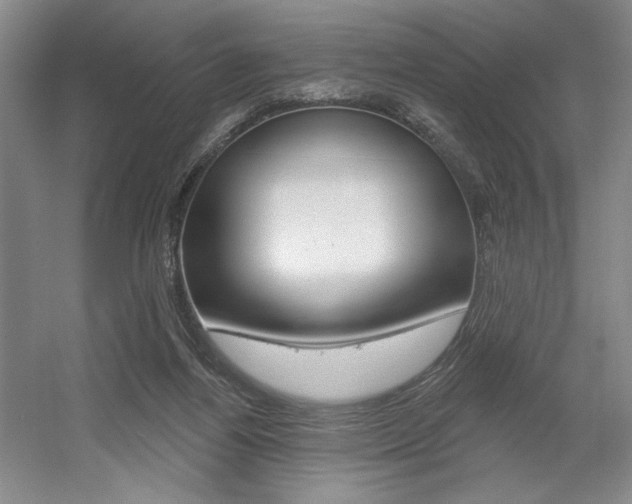 X0000056010164200508190903