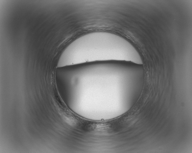 X0000056010165200508190903