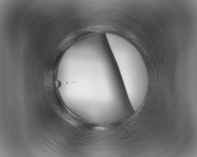 X0000056010167200508190903