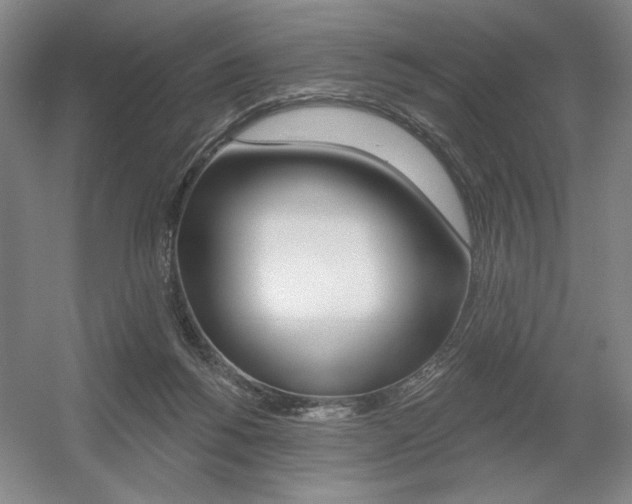 X0000056010168200508190903