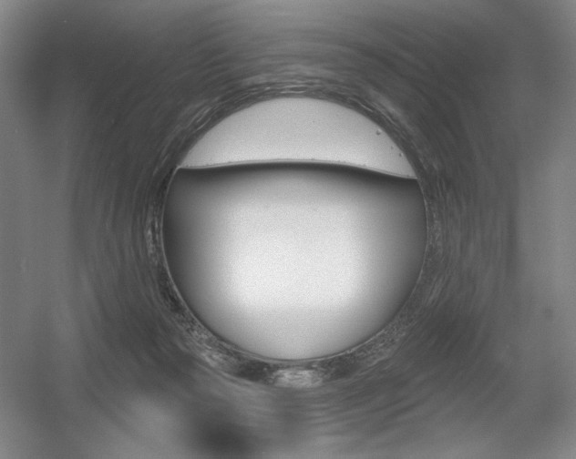 X0000056010169200508190903