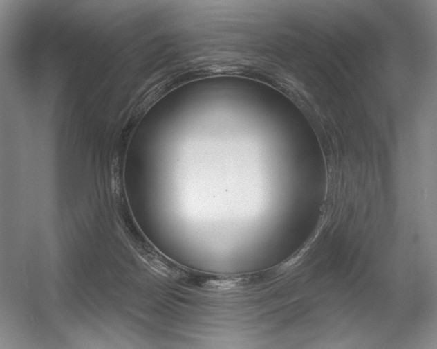 X0000056010170200508190903