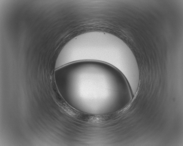 X0000056010174200508190903
