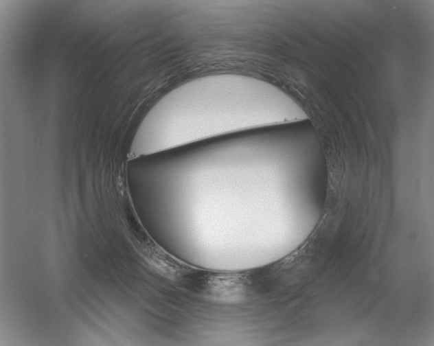X0000056010175200508190903
