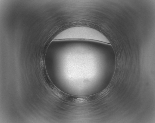 X0000056010176200508190903