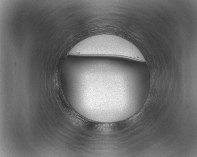 X0000056010182200508190903