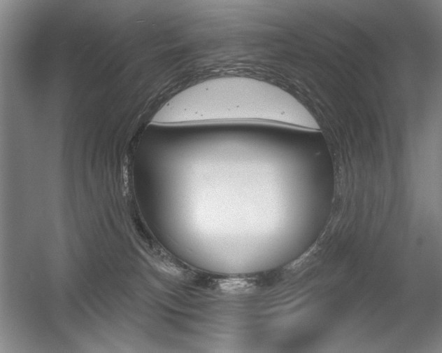 X0000056010183200508190903