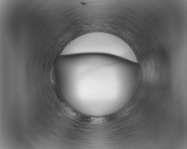 X0000056010185200508190903