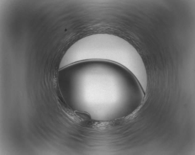 X0000056010186200508190904