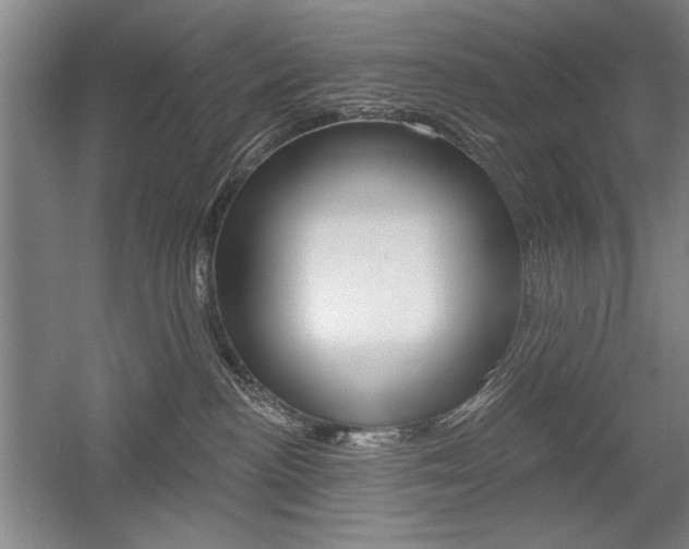 X0000056010188200508190904