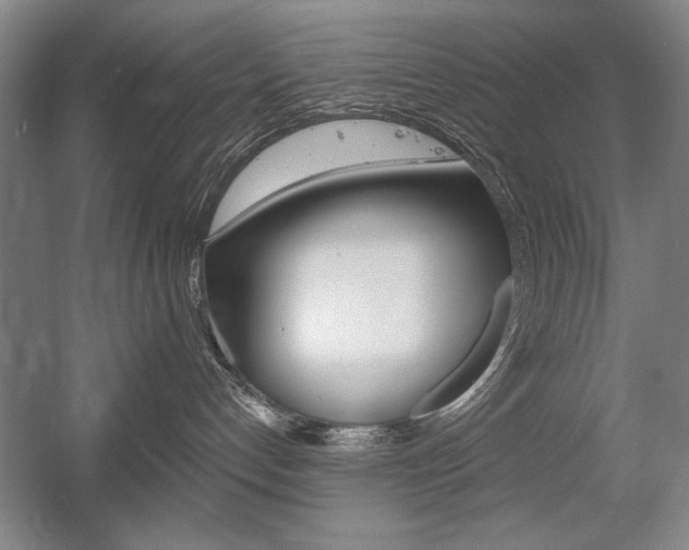 X0000056010192200508190904
