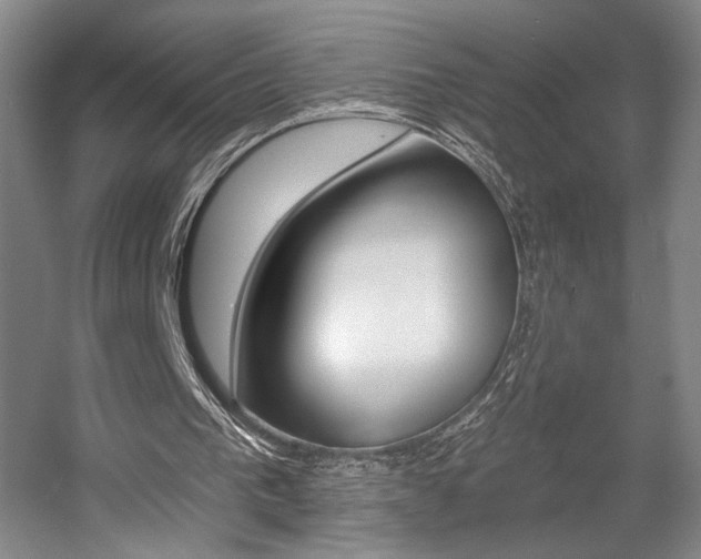 X0000056010193200508190903