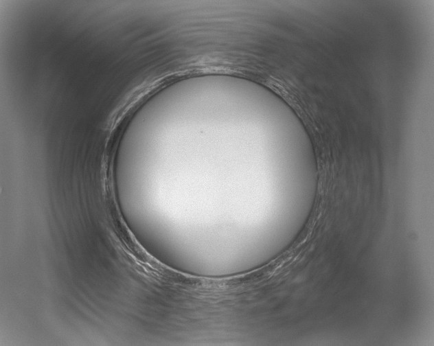 X0000056010194200508190903