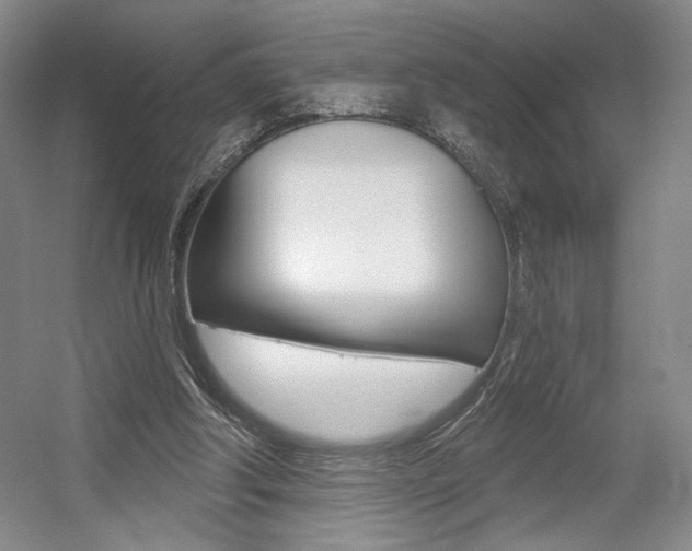 X0000056010202200508190903