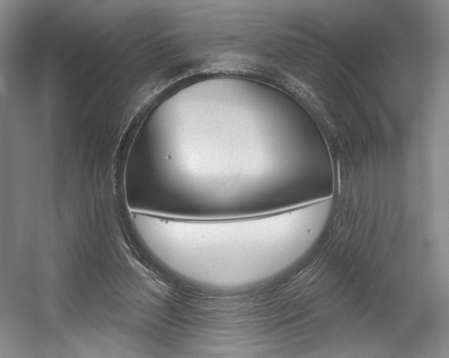 X0000056010204200508190903