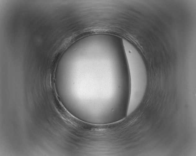 X0000056010205200508190903