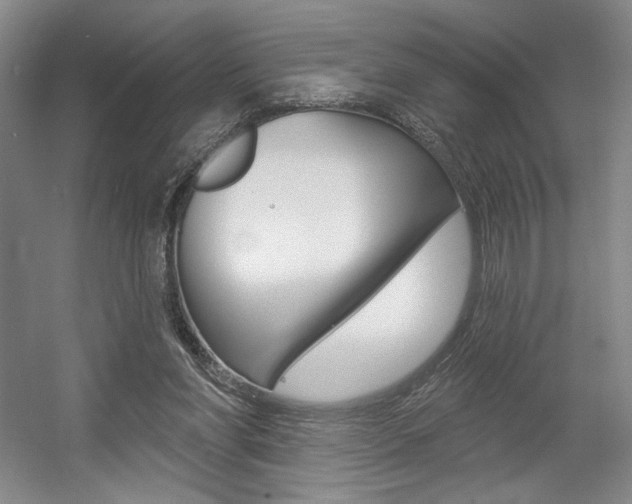 X0000056010206200508190903