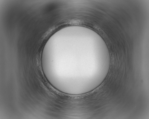X0000056010208200508190903