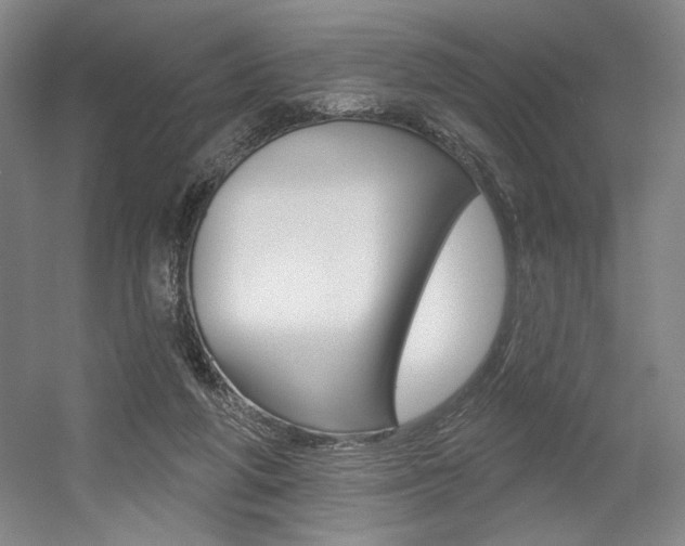 X0000056010210200508190902