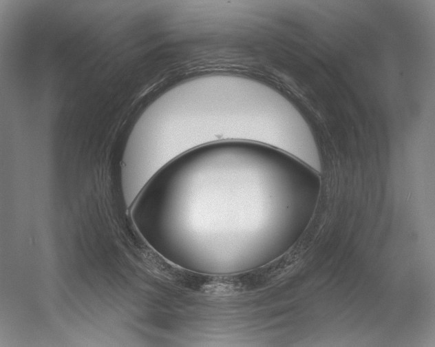 X0000056010211200508190902