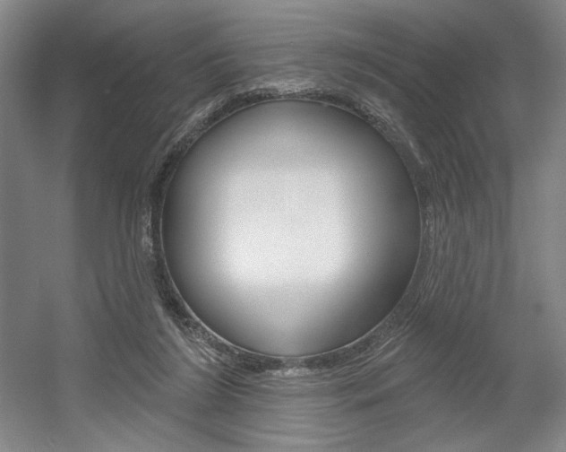 X0000056010212200508190902
