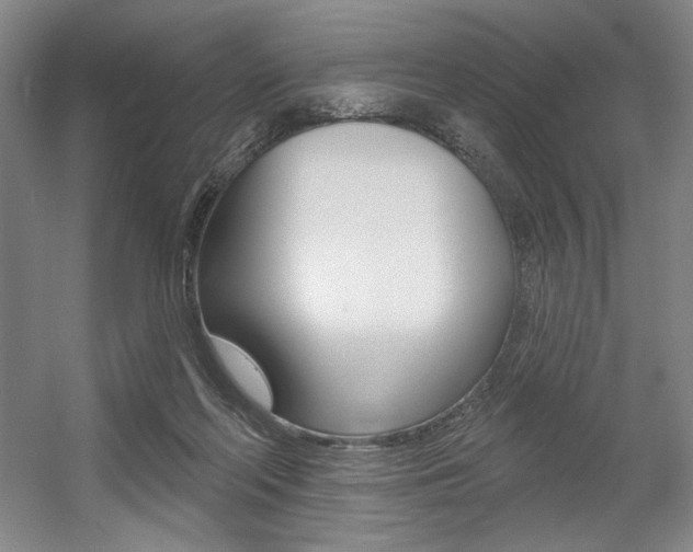 X0000056010214200508190902