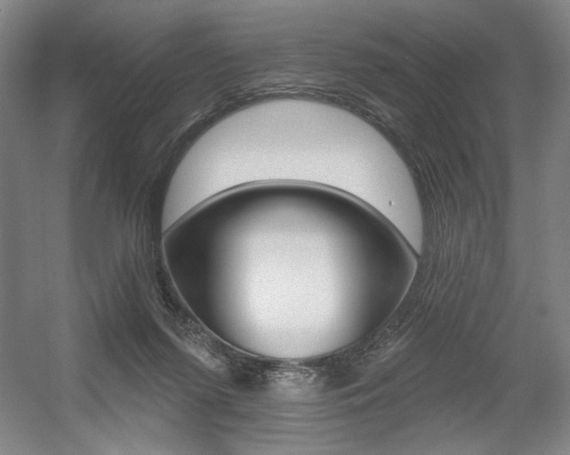 X0000056010215200508190902