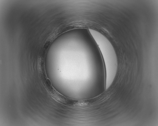 X0000056010217200508190902
