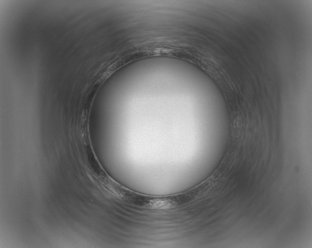X0000056010218200508190902